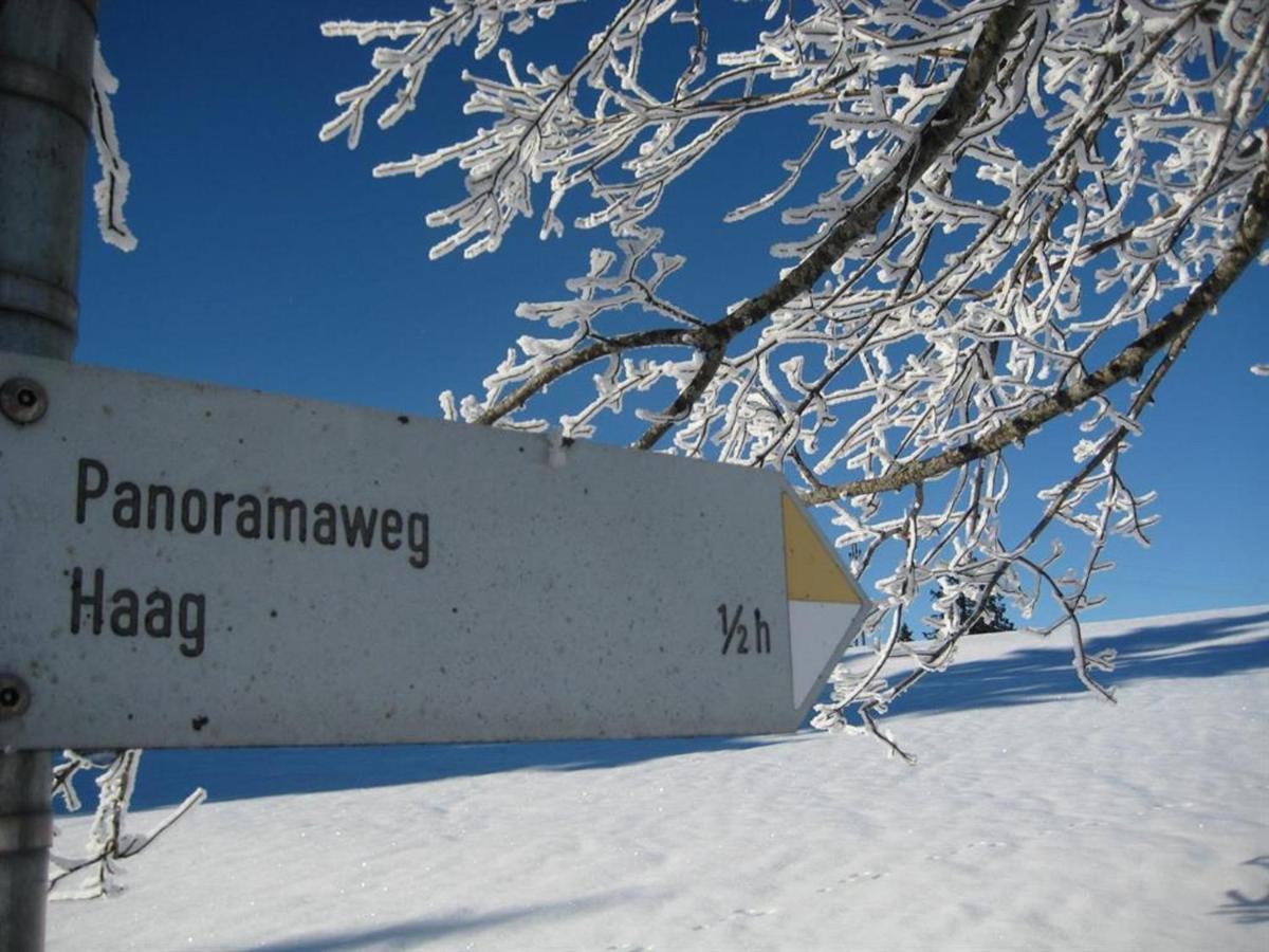 Haus Panorama Διαμέρισμα Oy-Mittelberg Εξωτερικό φωτογραφία
